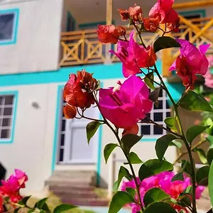 Bed & Breakfast Colorful Garden House